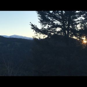 Meet your Posher, Avery